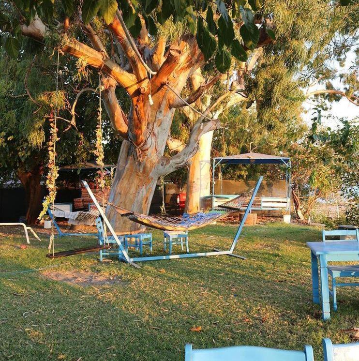 Okaliptus Butik Hotel فتحية المظهر الخارجي الصورة